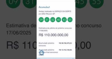 Mega Sena concurso 2876 de 14 de junho de 2025