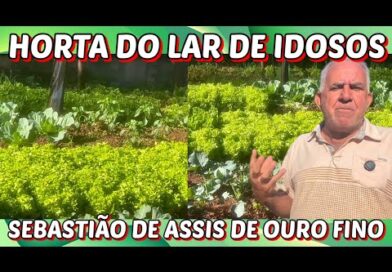 Horta do Abrigo de Idosos Sebastião de Assis