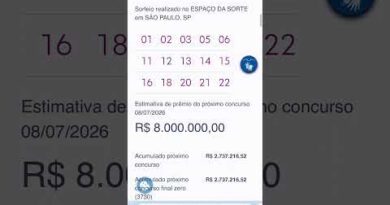Lotofácil concurso 2739 de 07 de julho de 2026