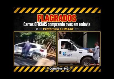 Carros oficiais da Prefeitura e DMAAE saíram para comprar ovos