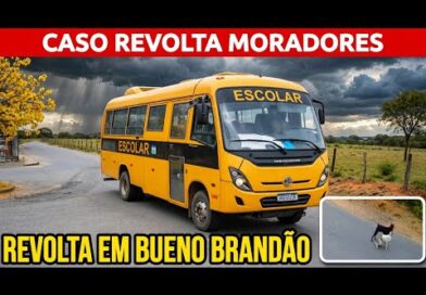 Motorista da Prefeitura atr***la cães e vai embora